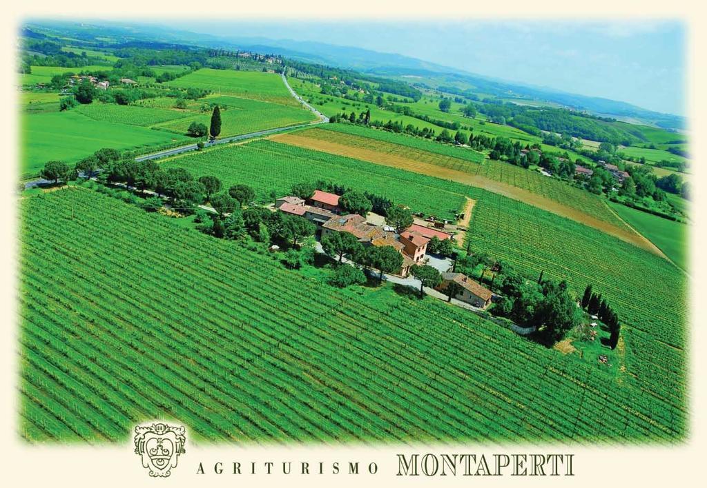 Agriturismo Montaperti Castelnuovo Berardenga Eksteriør billede