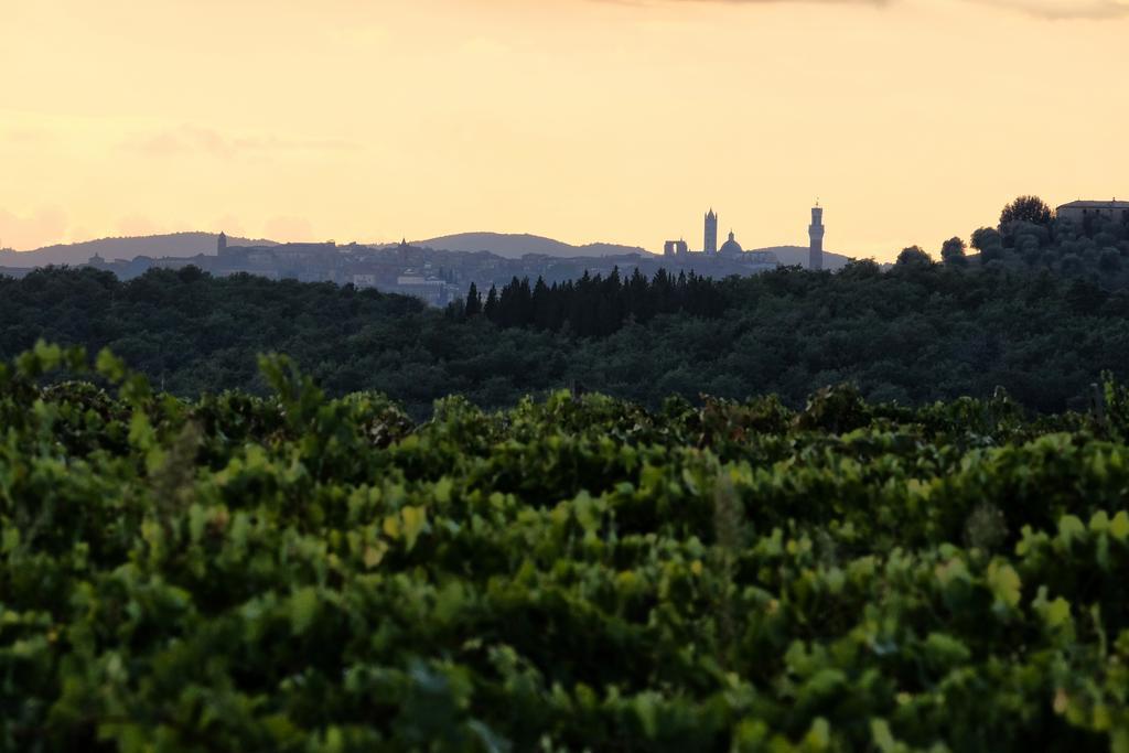 Agriturismo Montaperti Castelnuovo Berardenga Eksteriør billede